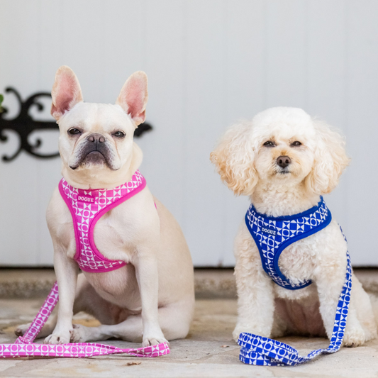 DOGUE Geometric Dog Harness - DOGUE