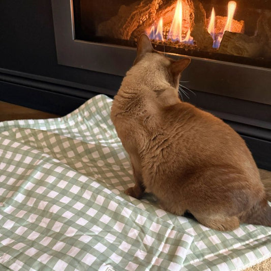 DOGUE Large Gingham Dog Blanket Green | Buy Online at DOGUE Australia