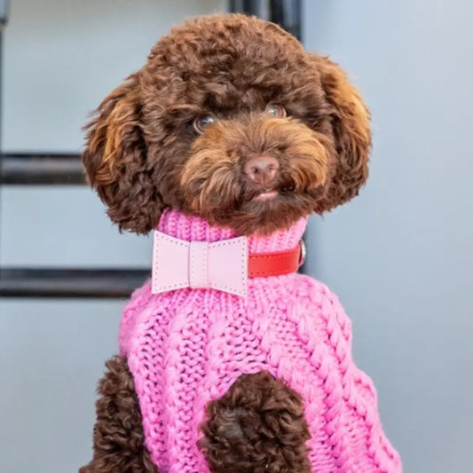 DOGUE Bowtie Collar Dog Accessory - DOGUE