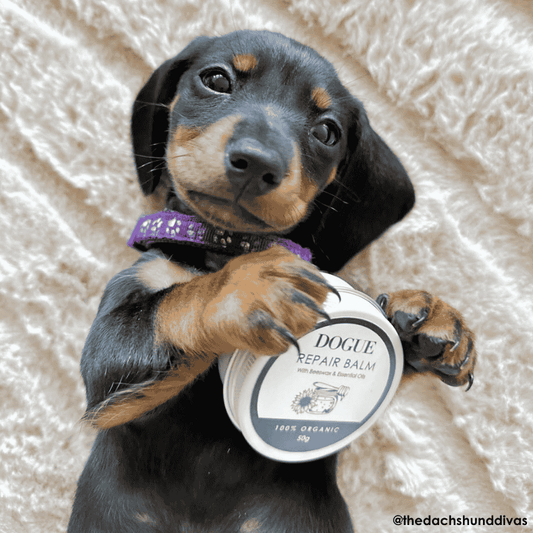 DOGUE Repair Balm - DOGUE