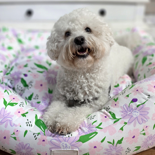 DOGUE Bolster Spring Floral Dog Bed - DOGUE