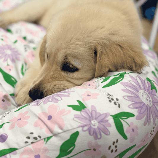 DOGUE Bolster Spring Floral Dog Bed - DOGUE