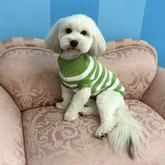 Stripe Dog Jumper