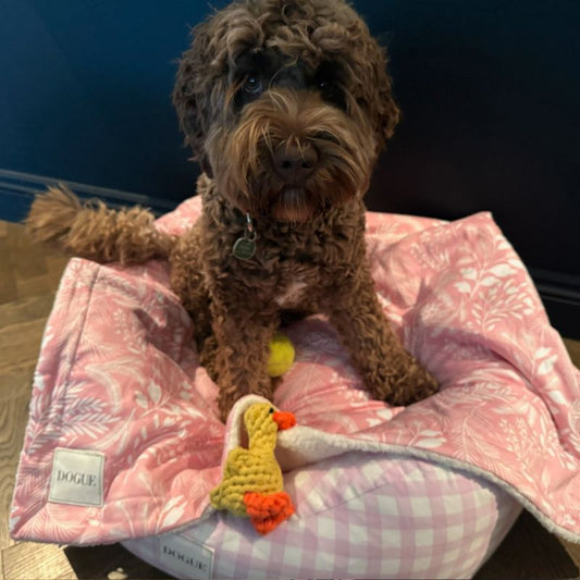 DOGUE Wildflower Pink Dog Blanket | Buy Online at DOGUE Australia