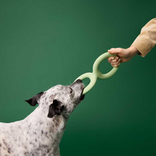 Earth Rated Tug Dog Toy