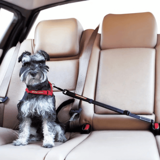 EZYDOG Click Dog Seat Belt