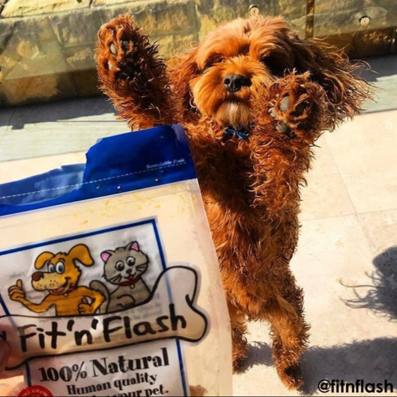 Fit 'n' Flash Beef Chews Dog Treat 60g - DOGUE