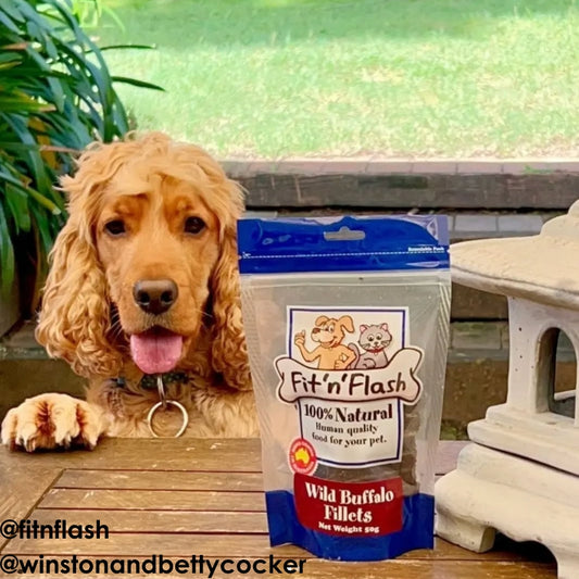 Fit 'n' Flash Wild Buffalo Dog Treat 50g - DOGUE