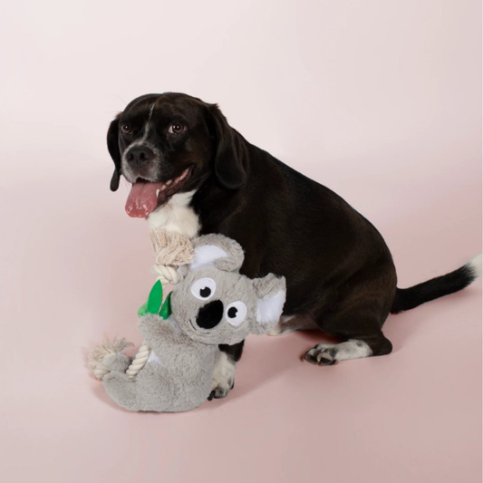 Fringe Studio Koala Dog Toy