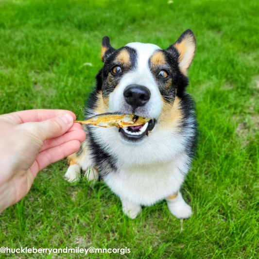 Gunni's Whole Herring Dog Treat 85g