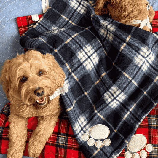 Hamish McBeth Tartan Dog Blanket Blue