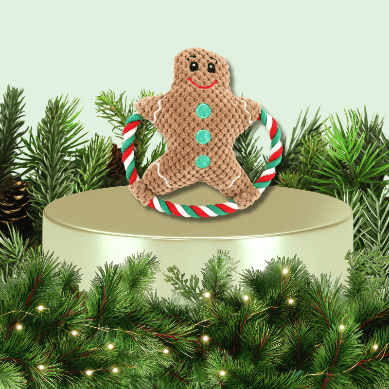 Holiday Plush Ring Dog Toy