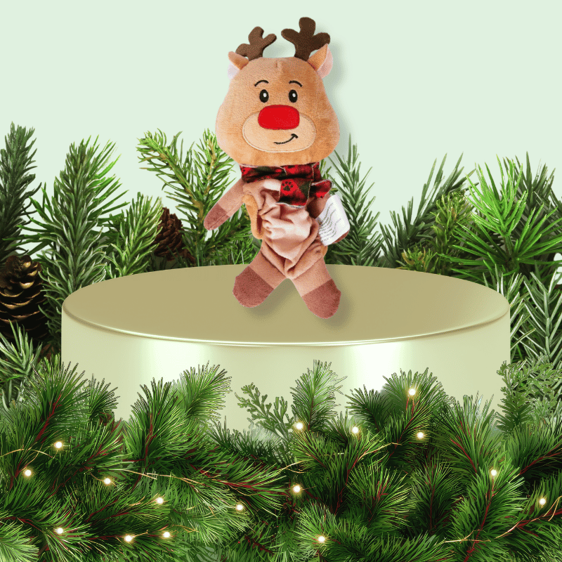 Holiday Plush Rudolph Dog Toy
