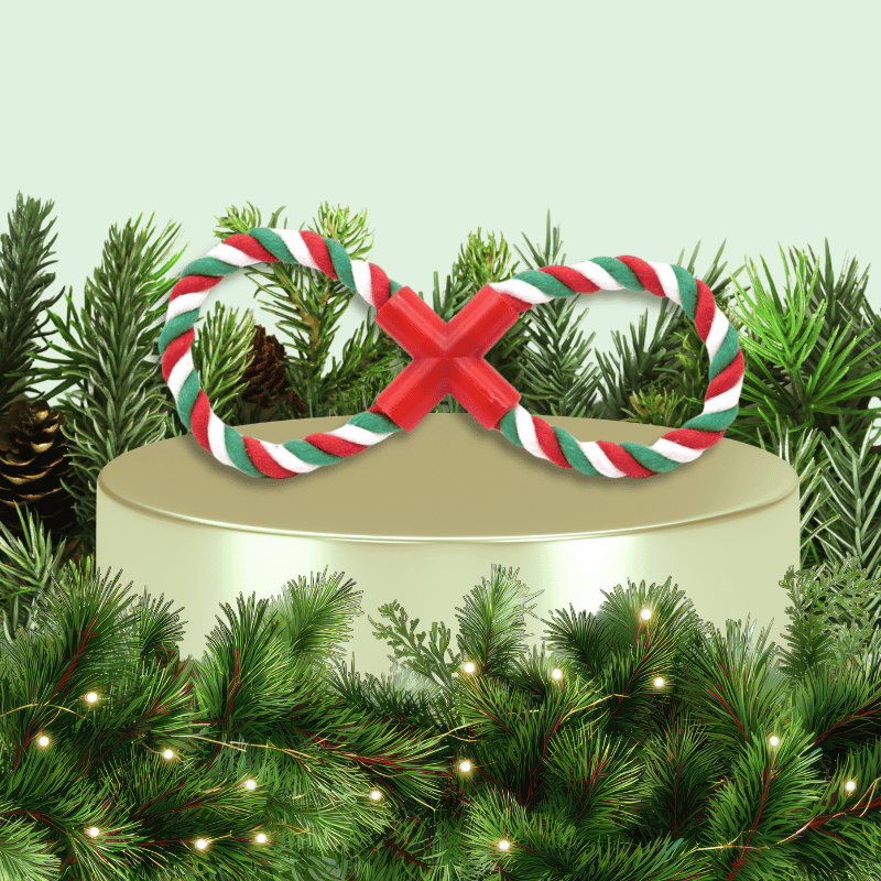 Holiday Rope Infinity Dog Toy