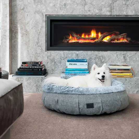 Memory Foam Ortho Harley Dog Bed | Buy Online at DOGUE Australia