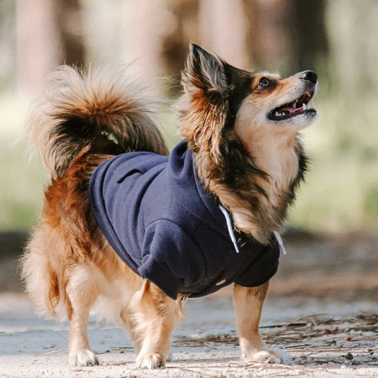 Huskimo Mt Baw Baw Dog Hoodie Ink Blue