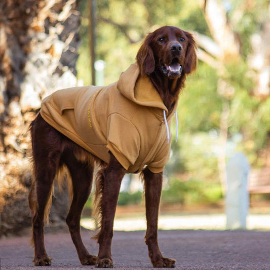 Huskimo Mt Baw Baw Dog Hoodie Mustard