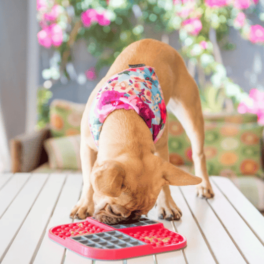 LickiMat SloMo Dog Mat Pink