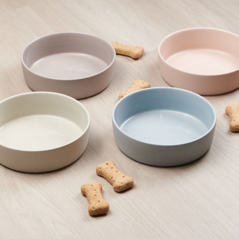 Lilly + Dash Pet Bowl Mint - DOGUE