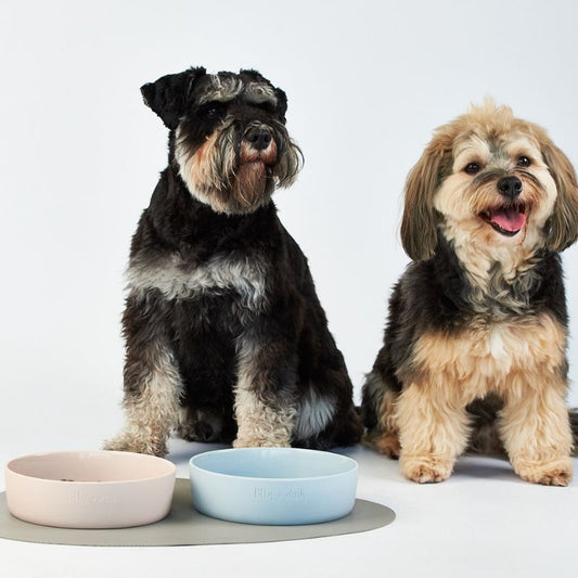 Lilly + Dash Pet Bowl Rose Quartz - DOGUE
