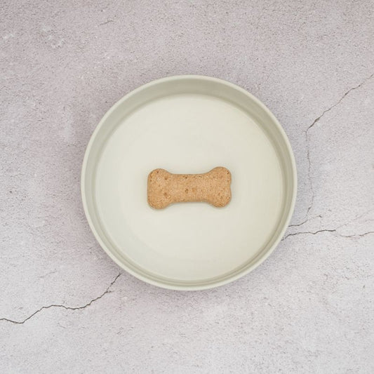 Lilly + Dash Pet Bowl Mint - DOGUE