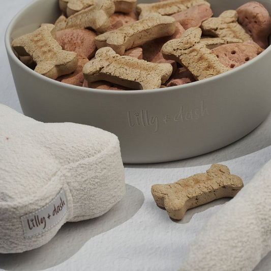 Lilly + Dash Dog Bowl Slate - DOGUE