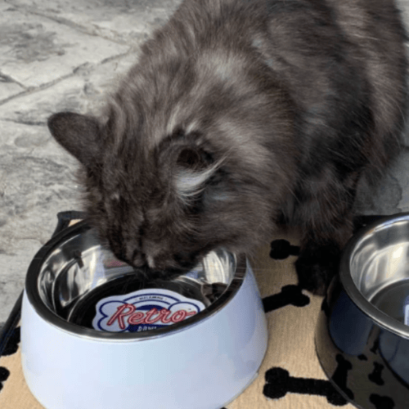 Loving Pets Retro Dog Bowl Ice White