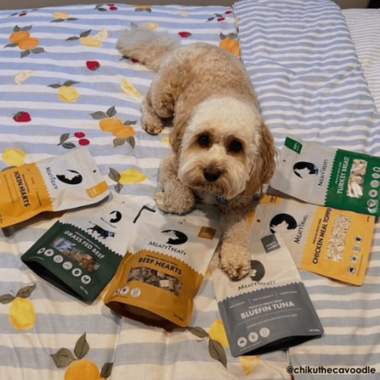 Meaty Treaty Freeze Dried Beef Hearts Dog Treat