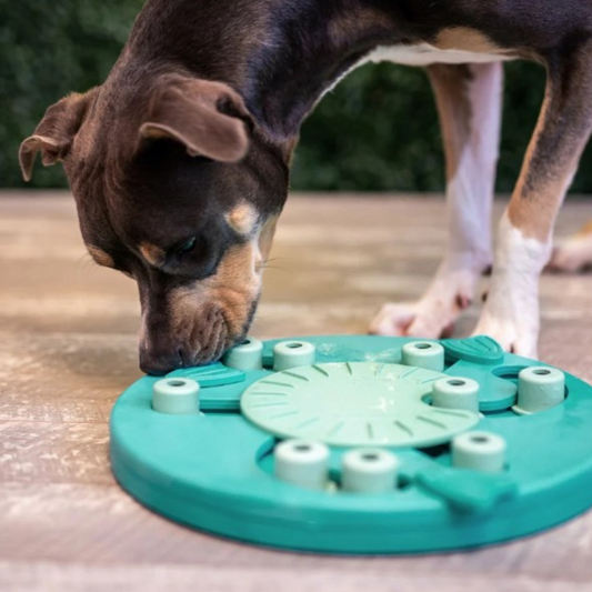 Nina Ottosson Worker Puzzle Dog Toy Green