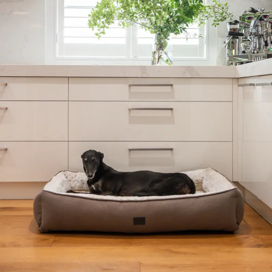 Ortho Dog Lounger Light Brindle Faux Fur | Buy Online at DOGUE Australia