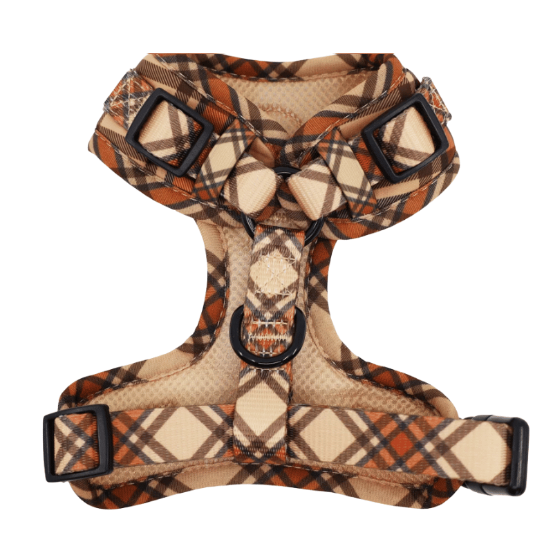 Pablo & Co Kensington Dog Harness