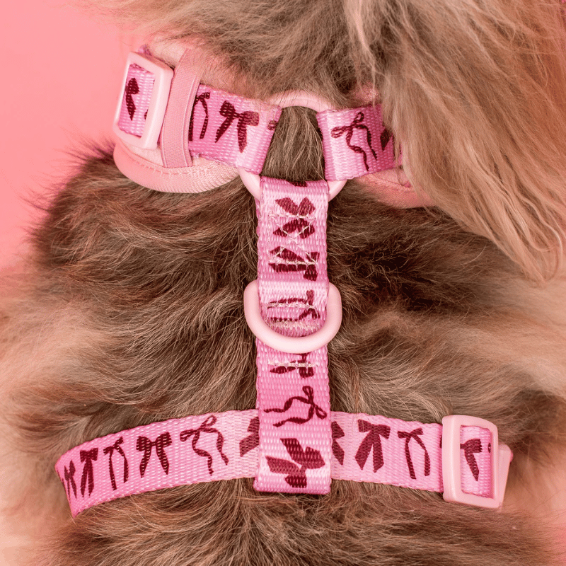 Pablo & Co Velvet Blush Bows Dog Harness