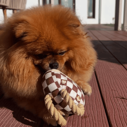 Romiet Chewy Vuiton Cream Handbag Dog Toy