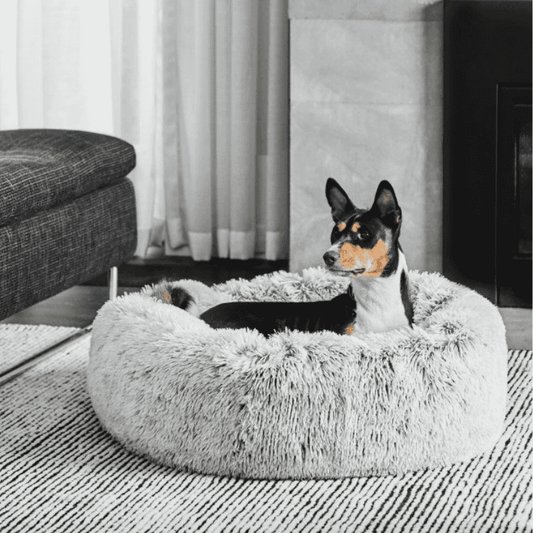 Snooza Calming Cuddler Dog Bed Silver Fox
