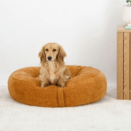 Snooza Dream Cloud Dog Bed