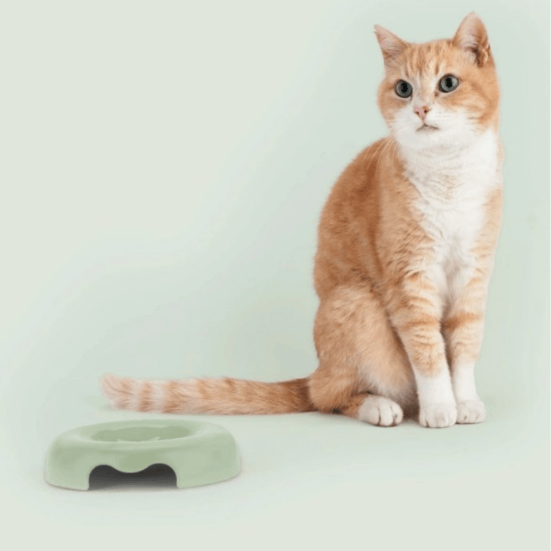 United Pets Kitty Cat Bowl Green