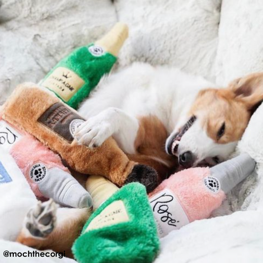 ZippyPaws Crusherz Happy Hour Plush Collection Dog Toy - DOGUE