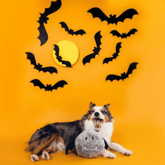 ZippyPaw Halloween Brainey Bat Dog Toy