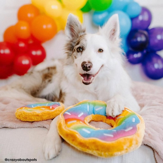 ZippyPaws Rainbow Donutz Dog Toy - DOGUE