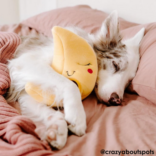 ZippyPaws Burrow To the Moon Dog Toy - DOGUE