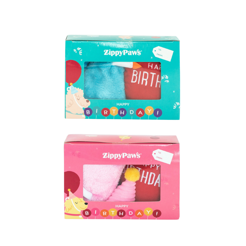 ZippyPaws Birthday Pack Dog Toy - DOGUE