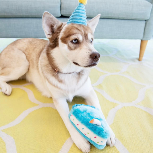 ZippyPaws Birthday Pack Dog Toy - DOGUE