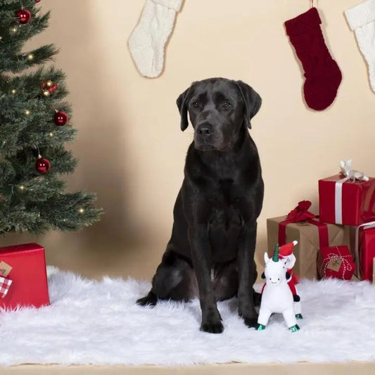 Fringe Studio | Holiday | Santa Unicorn | Buy Online at DOGUE Australia