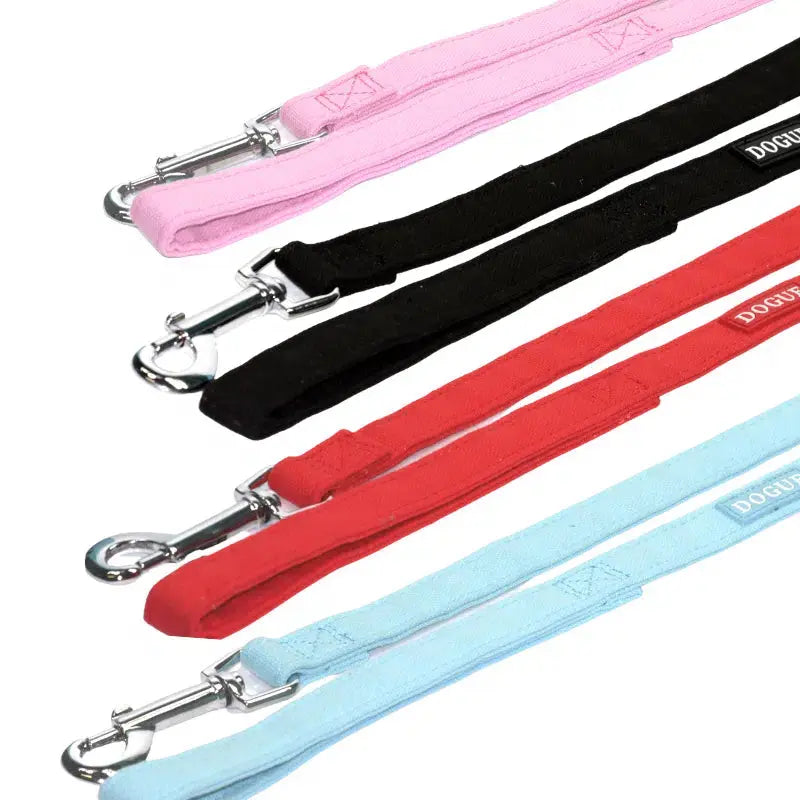 Coloured Canvas Dog Lead Buy Online at DOGUE