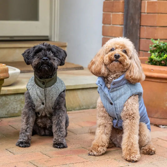 DOGUE Tweed Puffer Dog Jacket - DOGUE