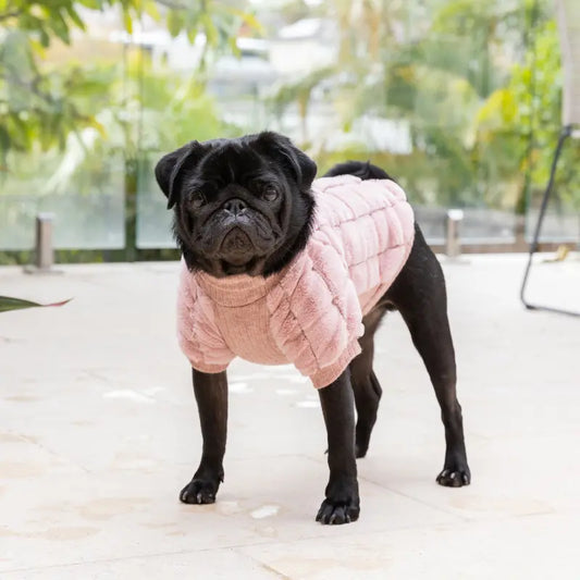 DOGUE Fur Baby Dog Jumper - DOGUE