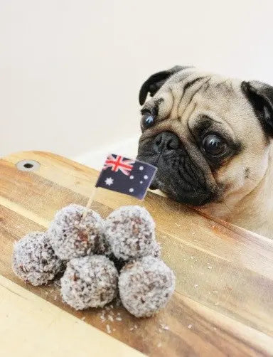 Australia Day Dog-Friendly Recipe Lamingtons