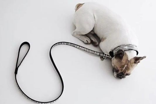 Brands We're Crushing On