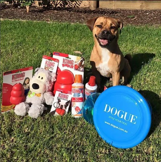 Win with DOGUE: KONG boredom buster giveaways