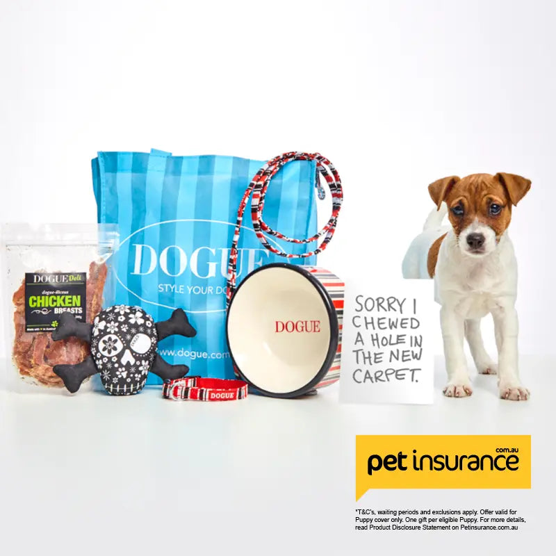 Pet Insurance Puppy Plan! Get a Welcome DOGUE Gift Pack